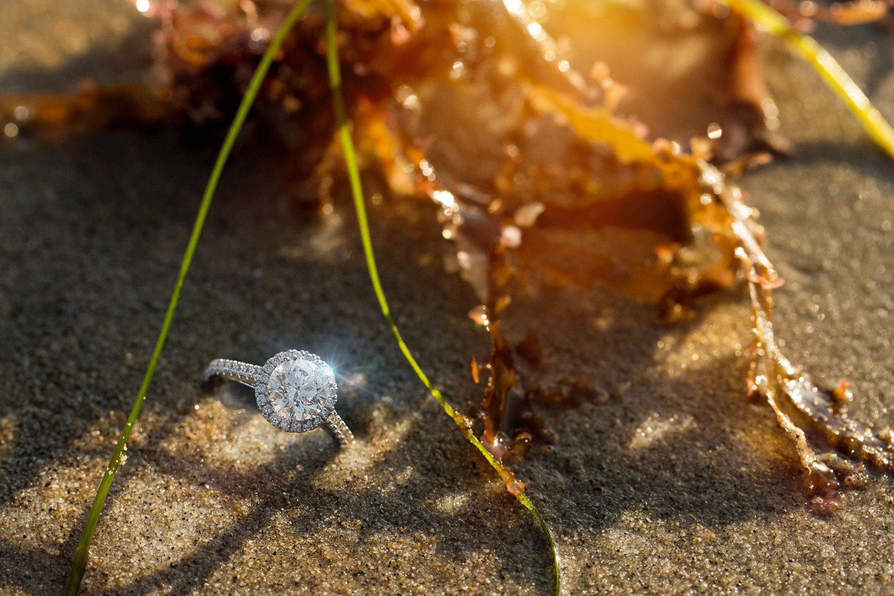 A stunning diamond sitting in beach sand next to seaweed.